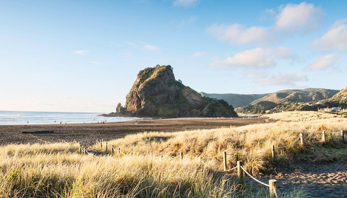 Piha Collection