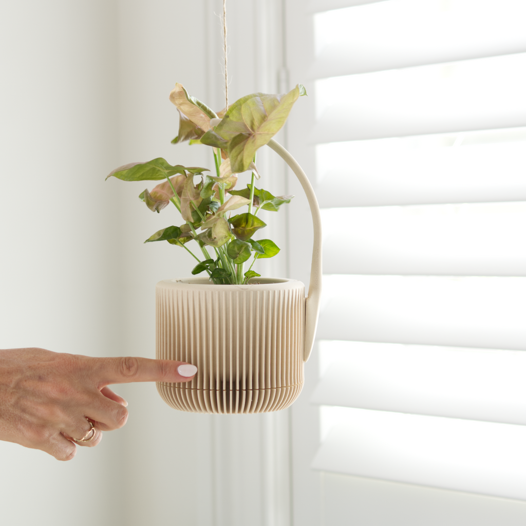 hanging planter nz Mounts for Hanging Planters